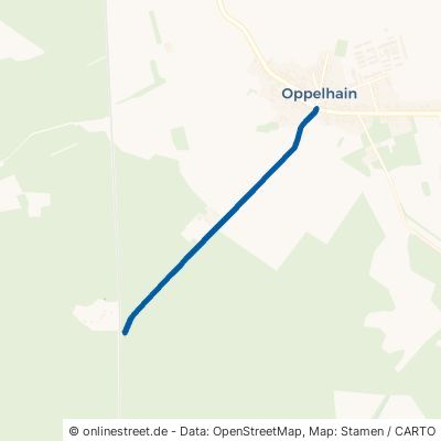 Hohenleipischer Straße Rückersdorf Oppelhain 