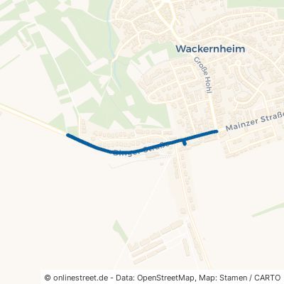 Binger Straße 55263 Wackernheim 