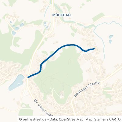 Tiergartenweg 93167 Falkenstein 