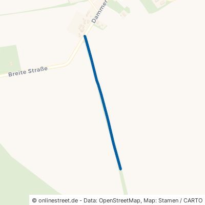 Dammer Pflaumenweg Nennhausen Damme 