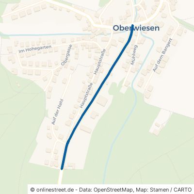 Kirchheimbolander Straße Oberwiesen 