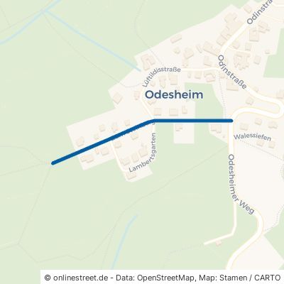 Zum Steinberg Bad Münstereifel Odesheim 