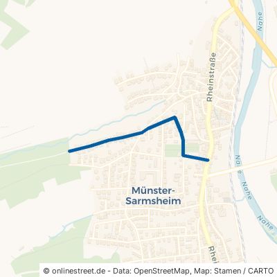 Waldstraße Münster-Sarmsheim 