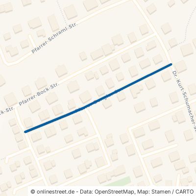 Pfarrer-Dengler-Straße 93133 Burglengenfeld 
