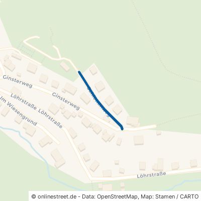 Schlehenweg 57555 Mudersbach Birken 
