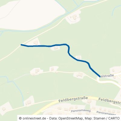 Wiesenweg Feldberg (Schwarzwald) Bärental 
