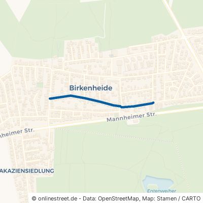 Maxdorfer Straße Birkenheide 
