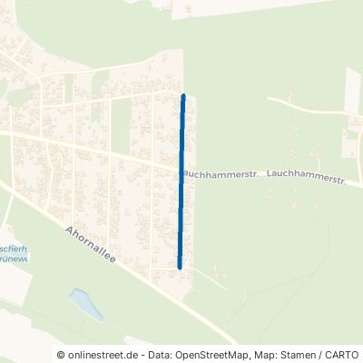 Wasserturmstraße 01979 Lauchhammer Grünewalde 