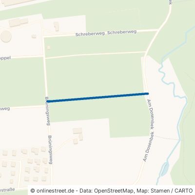 Raabeweg Neumünster Brachenfeld 