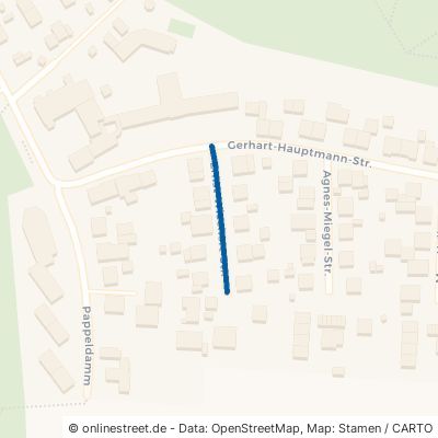 Ernst-Wiechert-Straße 38239 Salzgitter Thiede Thiede