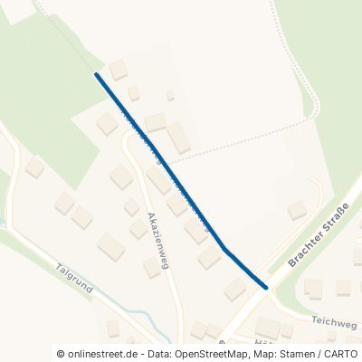 Holunderweg Cölbe Schönstadt 