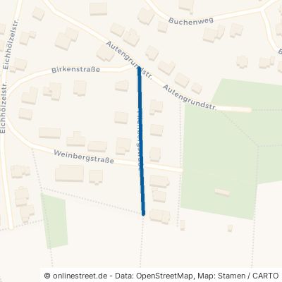 Fliehbergstraße 74915 Waibstadt 