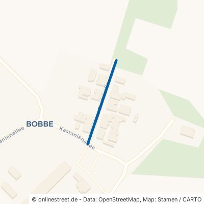 Alte Dorfstraße Osternienburger Land Bobbe 
