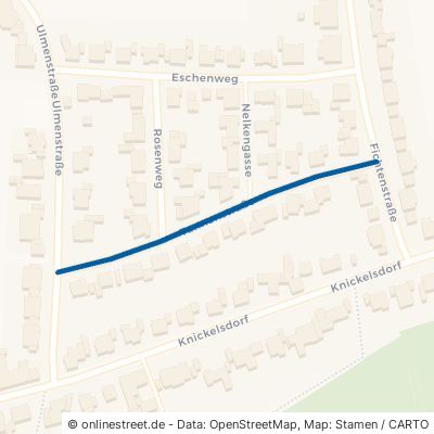 Tannenstraße Willich Schiefbahn 