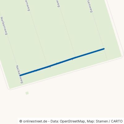Asternweg Sandersdorf-Brehna Roitzsch 