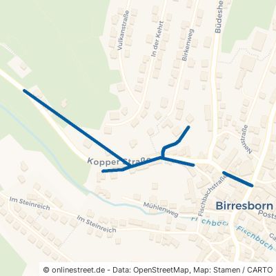 Kopper Straße Birresborn 