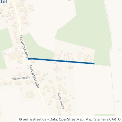 Waldstraße 25785 Sarzbüttel 