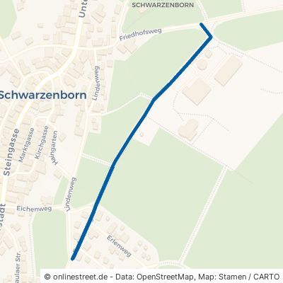 Erzbornweg Schwarzenborn 