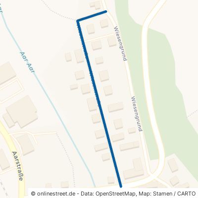 Wiesenstraße 65623 Hahnstätten 