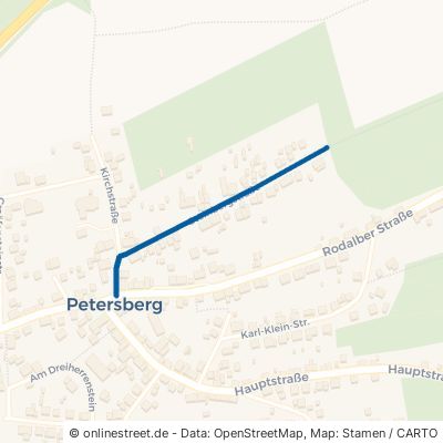 Steinbergstraße 66989 Petersberg 
