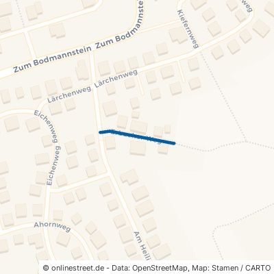 Erbacher Weg 55425 Waldalgesheim 