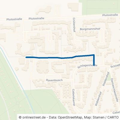 Dörmannsweg 45888 Gelsenkirchen Gelsenkirchen-Mitte
