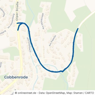 Birkenstraße Eslohe Cobbenrode 