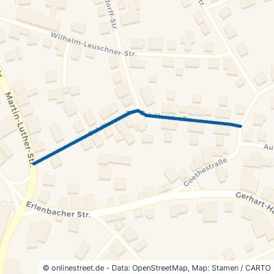 Schillerstraße 64711 Erbach Dorf-Erbach 