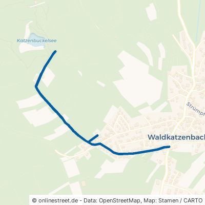 Katzenbuckelstraße 69429 Waldbrunn Waldkatzenbach 