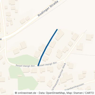 Rudolf-Thum-Straße 93167 Falkenstein 