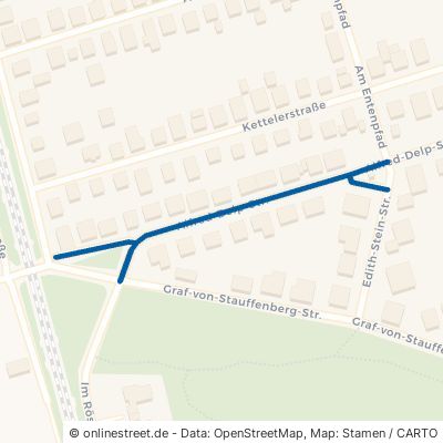 Alfred-Delp-Straße 68642 Bürstadt 