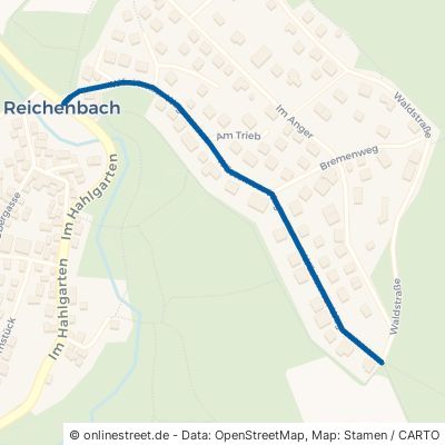 Wüstemser Weg Waldems Reichenbach 
