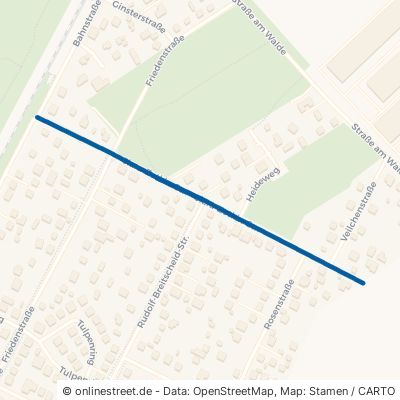 Clara-Zetkin-Straße 16356 Ahrensfelde 