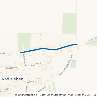 Alte See Ballenstedt Radisleben 