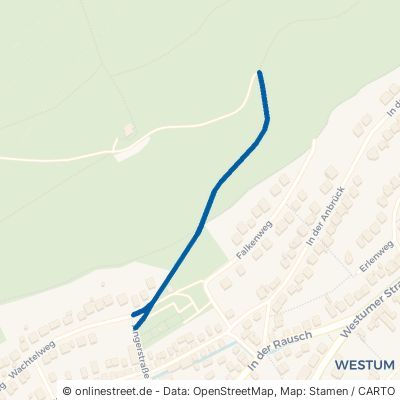 Waldweg Sinzig Westum 