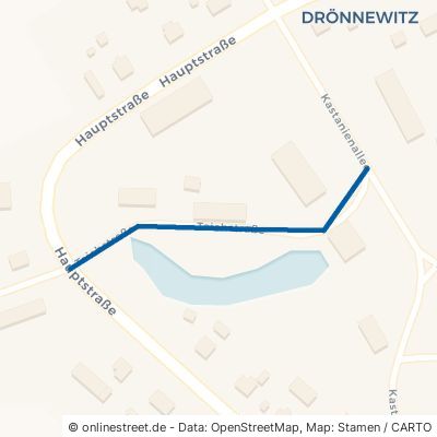 Teichstraße Wittendörp Drönnewitz 