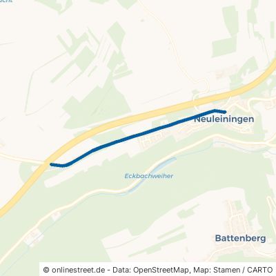 Tiefenthaler Straße 67271 Neuleiningen 