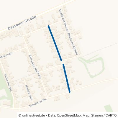 Willi-Lohmann-Straße Südliches Anhalt Radegast 