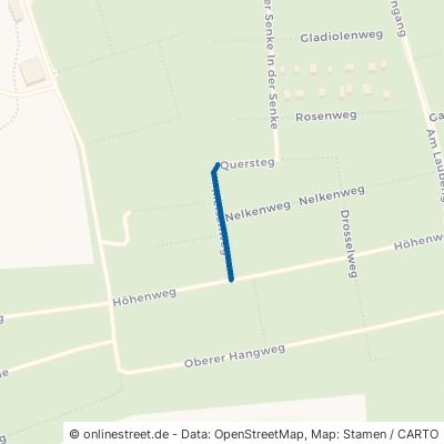 Meisenweg Chemnitz Altendorf 