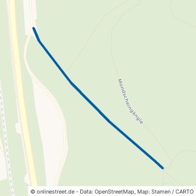 Kaisertannenweg Schluchsee 