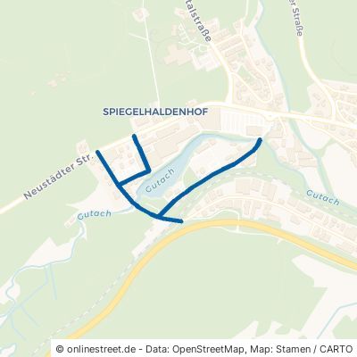 Glasbergweg Titisee-Neustadt Neustadt 