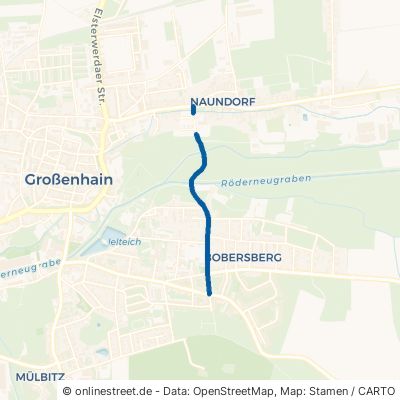 Martin-Scheumann-Straße Großenhain 