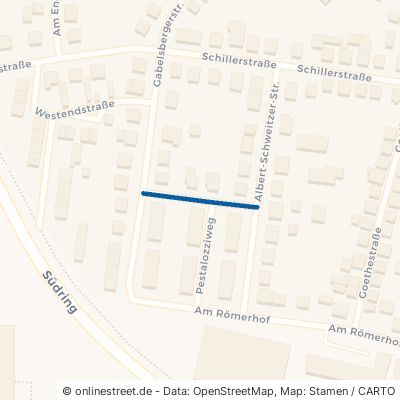 Balthasar-Ritz-Straße 64521 Groß-Gerau 