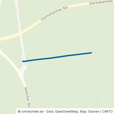 Feldschneise Darmstadt Eberstadt 