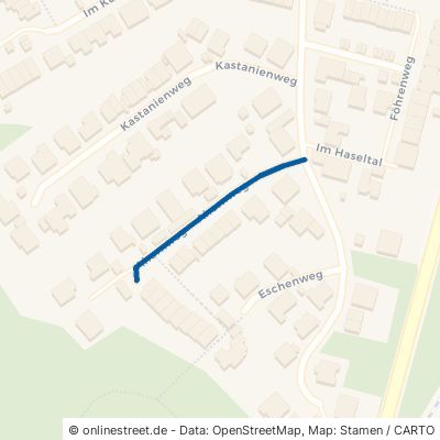 Ahornweg 67661 Kaiserslautern Hohenecken Hohenecken