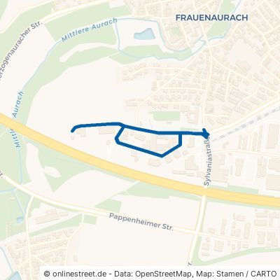 Willi-Grasser-Straße Erlangen Frauenaurach 