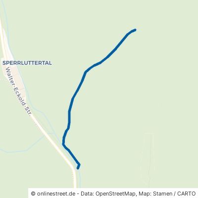 Seebuttentaler Weg Harz Lauterberg 