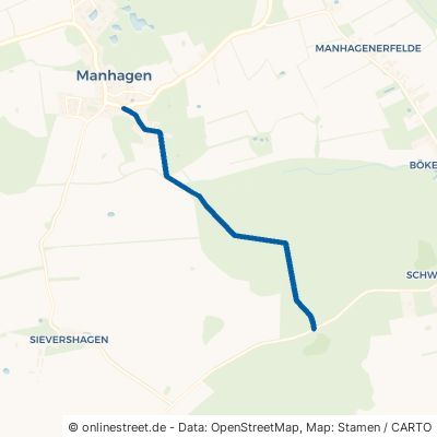 Waldweg Manhagen 