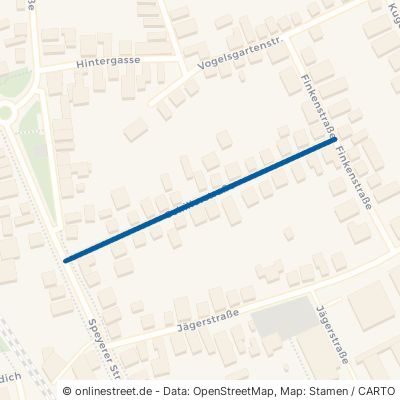 Schillerstraße 67105 Schifferstadt 