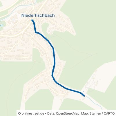 Schlesingstraße 57572 Niederfischbach 